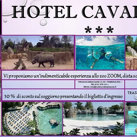 Cavalieri