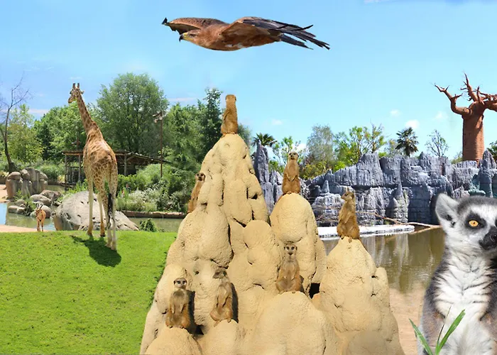 Cavalieri 3*