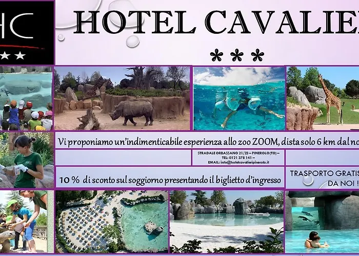 Cavalieri